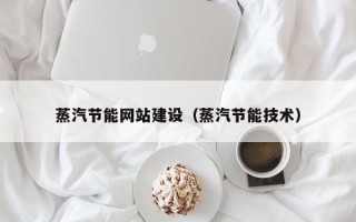 阜新蒸汽节能网站建设（蒸汽节能技术）