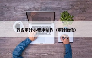 阜新淳安审计小程序制作（审计微信）
